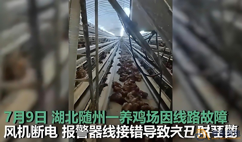 養(yǎng)雞場為什么要24h監(jiān)測溫濕度斷電報(bào)警器？